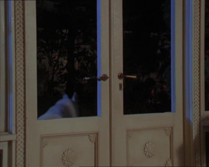 Charmed-Online-dot-320LookWhosBarking1954.jpg