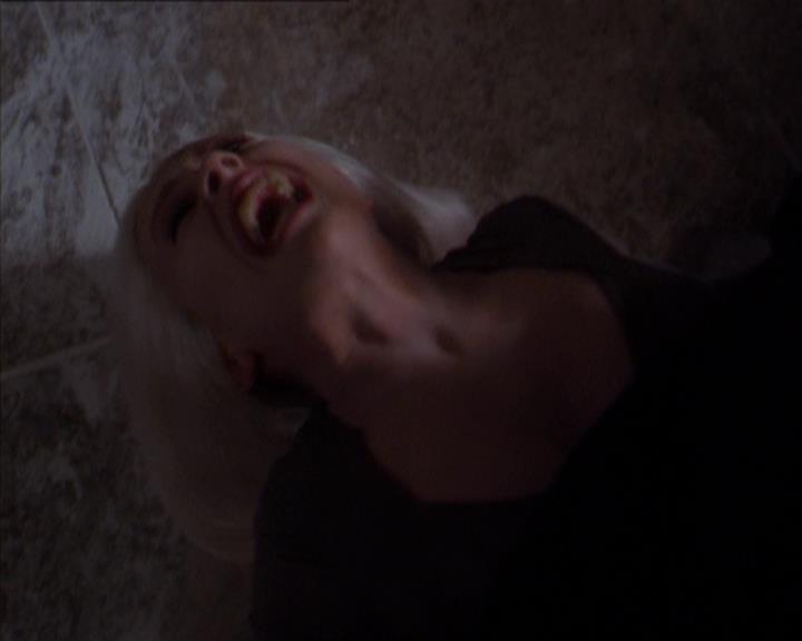 Charmed-Online-dot-320LookWhosBarking1986.jpg