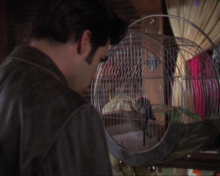 Charmed-Online_dot_net-4x01-2CharmedAgain2843.jpg