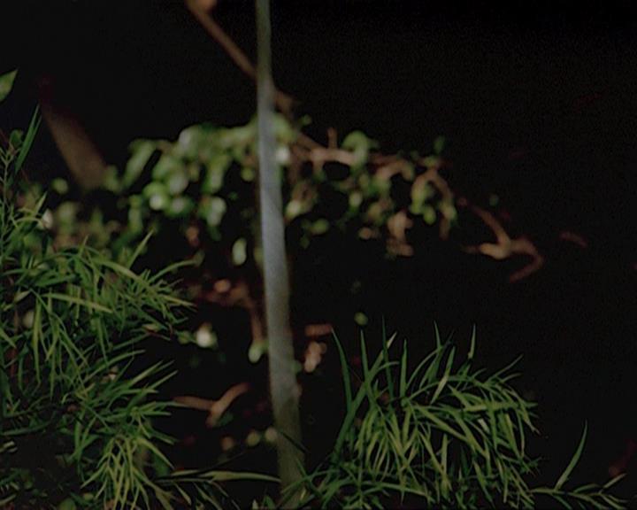 Charmed-Online_dot_net-4x04EnterTheDemon0154.jpg Charmed-Online_dot_net-4x04EnterTheDemon0154.jpg