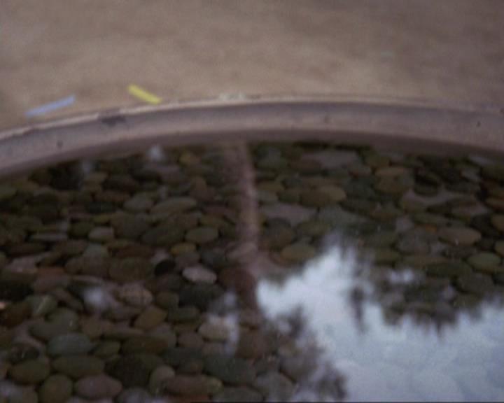 Charmed-Online_dot_net-4x04EnterTheDemon0518.jpg Charmed-Online_dot_net-4x04EnterTheDemon0518.jpg