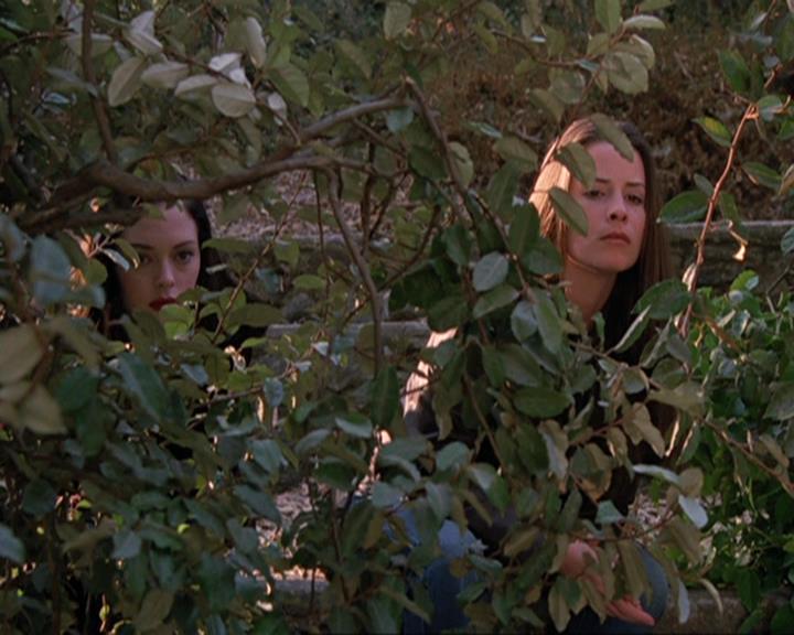 Charmed-Online-dot-net_408BlackAsCole0957.jpg