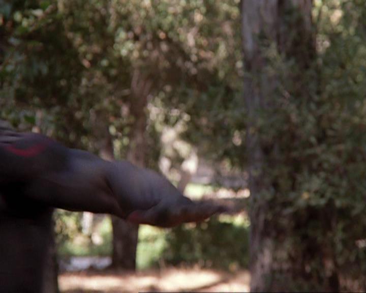 Charmed-Online-dot-net_408BlackAsCole0970.jpg