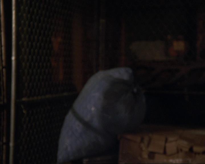 Charmed-Online-dot-409MuseToMyEars2242.jpg