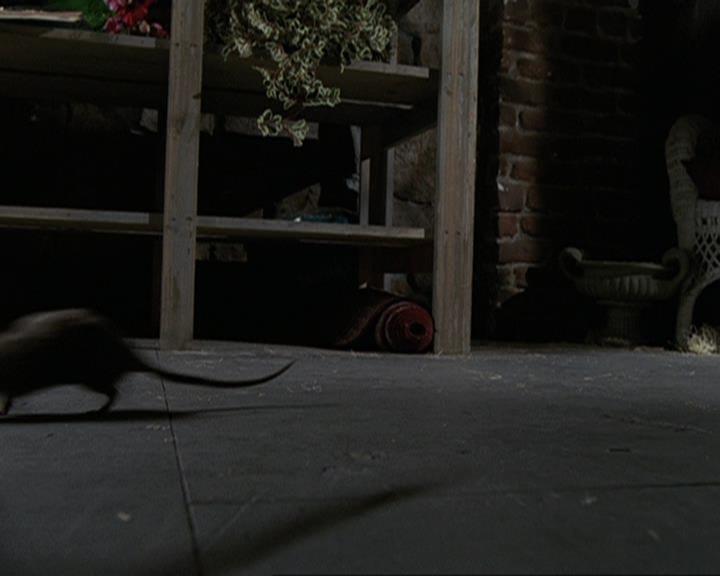 Charmed-Online-dot-411TrialByMagic1473.jpg