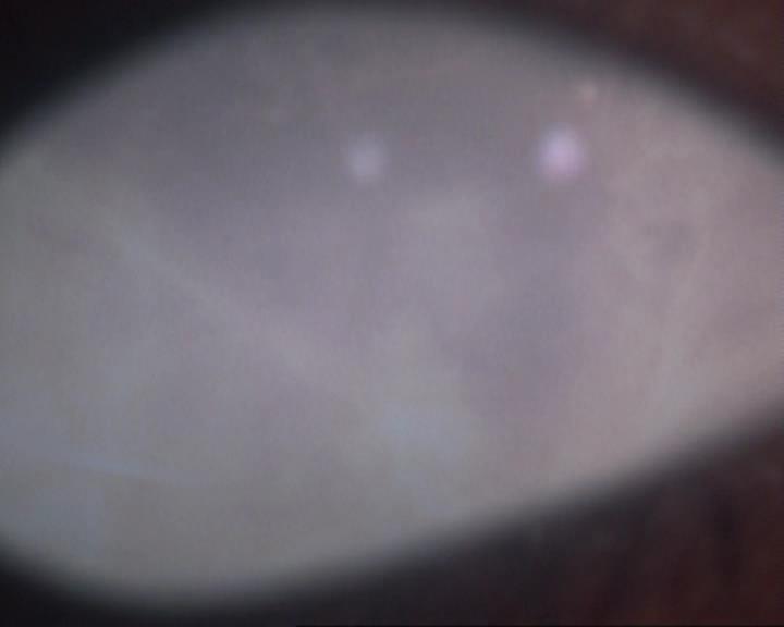 Charmed-Online-dot-413CharmedAndDangerous0048.jpg