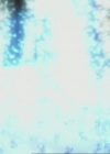 Charmed-Online-dot-413CharmedAndDangerous0260.jpg
