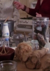 Charmed-Online-dot-413CharmedAndDangerous0950.jpg