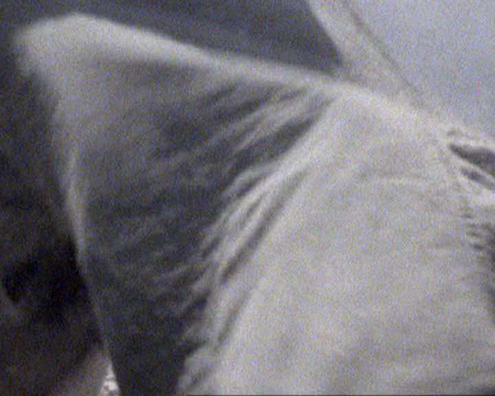 Charmed-Online-dot-417SavingPrivateLeo1041.jpg