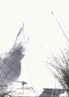 Charmed-Online-dot-417SavingPrivateLeo0972.jpg