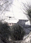 Charmed-Online-dot-417SavingPrivateLeo0973.jpg