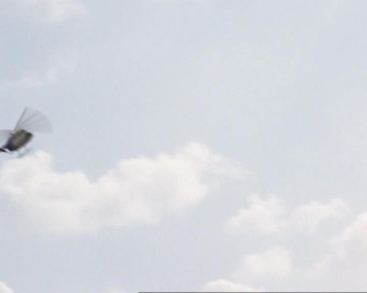 Charmed-Online-dot-422WitchWayNow0226.jpg Charmed-Online-dot-422WitchWayNow0226.jpg