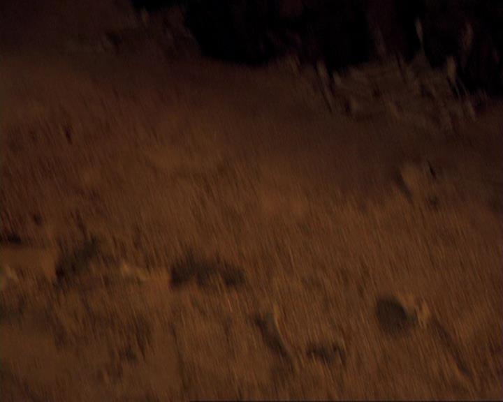 Charmed-Online-dot-422WitchWayNow0816.jpg