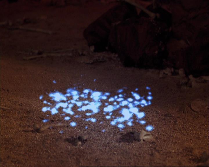 Charmed-Online-dot-422WitchWayNow0893.jpg