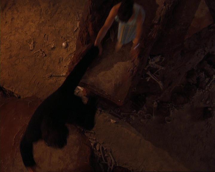 Charmed-Online-dot-422WitchWayNow0896.jpg
