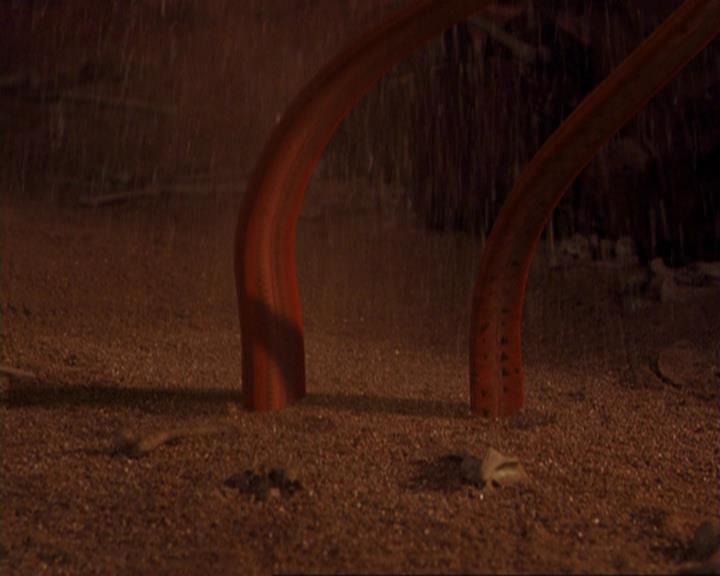 Charmed-Online-dot-422WitchWayNow0957.jpg