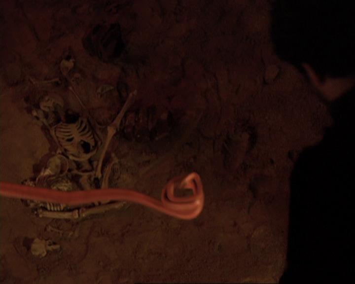 Charmed-Online-dot-422WitchWayNow0985.jpg