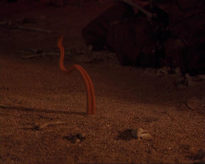 Charmed-Online-dot-422WitchWayNow0986.jpg