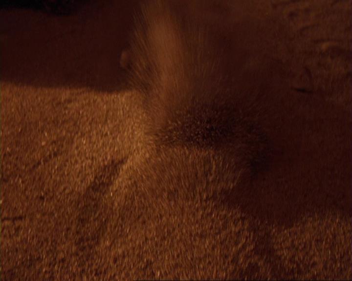 Charmed-Online-dot-422WitchWayNow1252.jpg