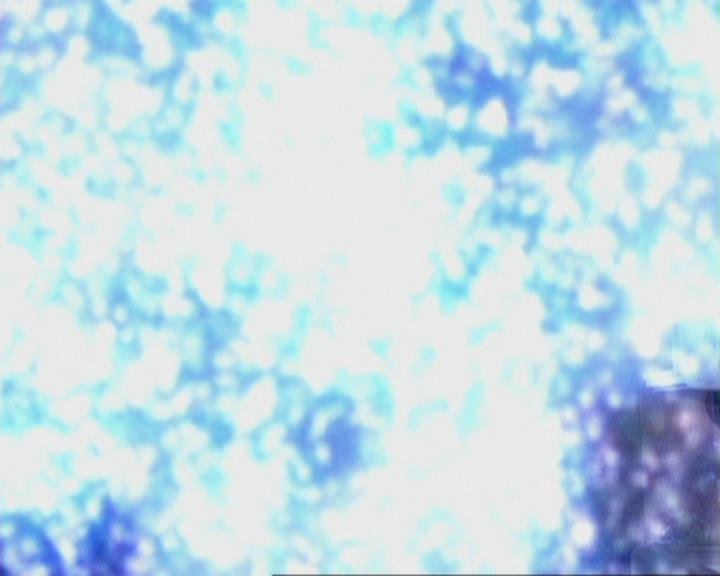 Charmed-Online-dot-422WitchWayNow1454.jpg