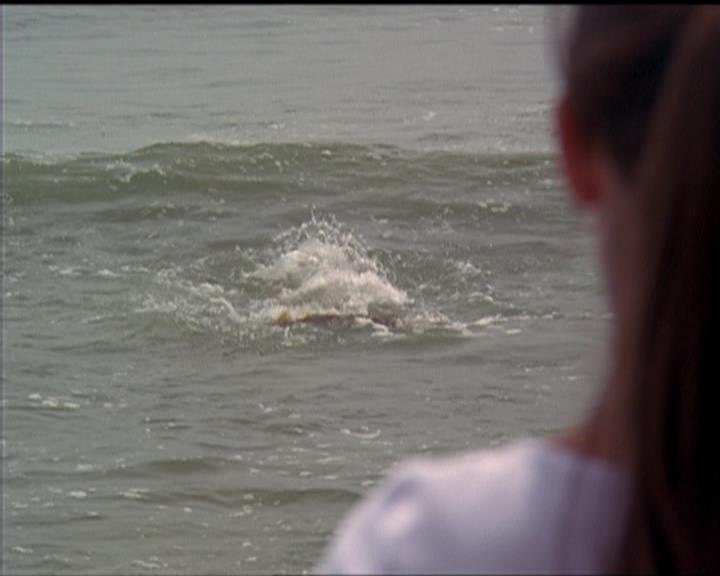 Charmed-Online_dot_net-5x01-2AWitchTail2120.jpg