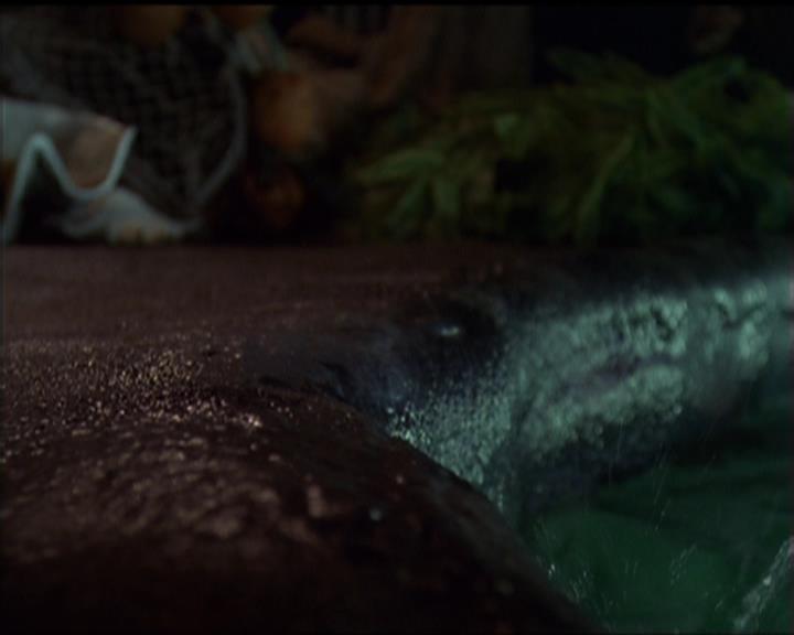 Charmed-Online_dot_net-5x01-2AWitchTail2288.jpg