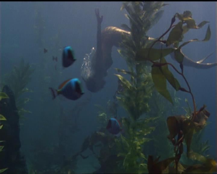 Charmed-Online_dot_net-5x02AWitchsTailPart2-0017.jpg