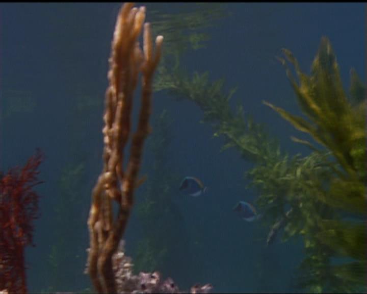 Charmed-Online_dot_net-5x02AWitchsTailPart2-0025.jpg