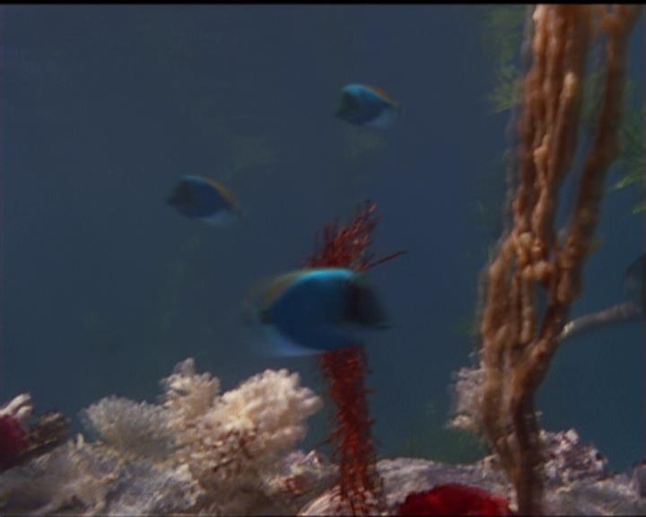 Charmed-Online_dot_net-5x02AWitchsTailPart2-0026.jpg