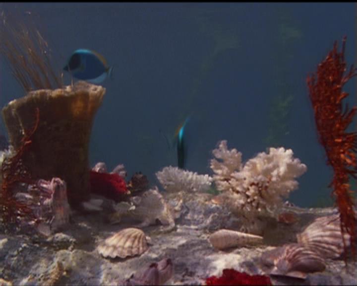 Charmed-Online_dot_net-5x02AWitchsTailPart2-0027.jpg