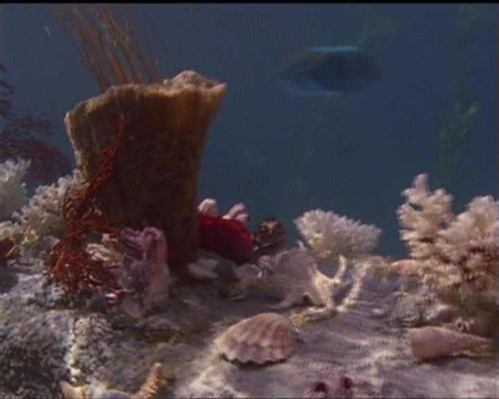 Charmed-Online_dot_net-5x02AWitchsTailPart2-0028.jpg