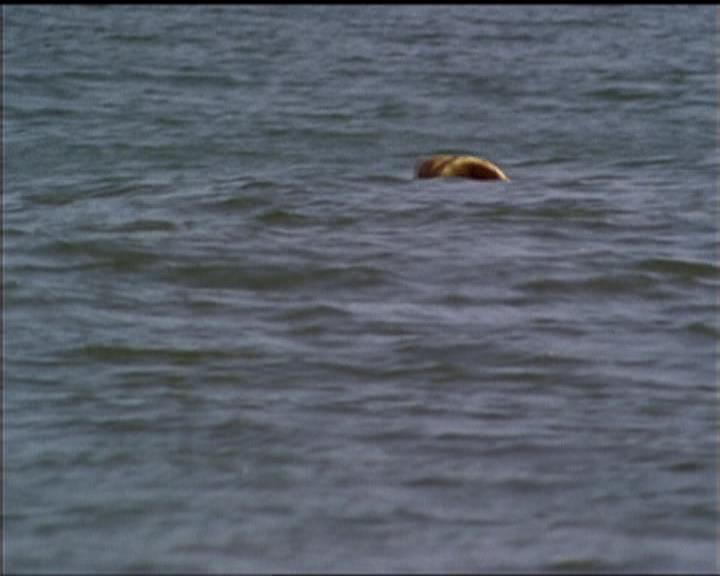 Charmed-Online_dot_net-5x02AWitchsTailPart2-0038.jpg