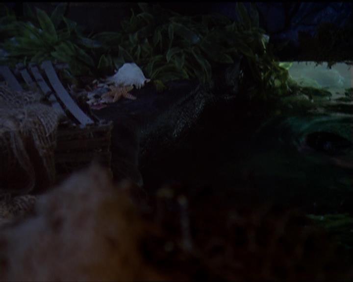 Charmed-Online_dot_net-5x02AWitchsTailPart2-0191.jpg