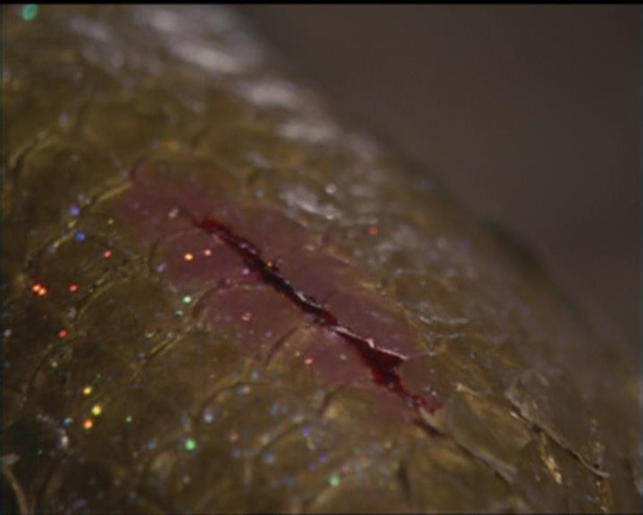 Charmed-Online_dot_net-5x02AWitchsTailPart2-0441.jpg