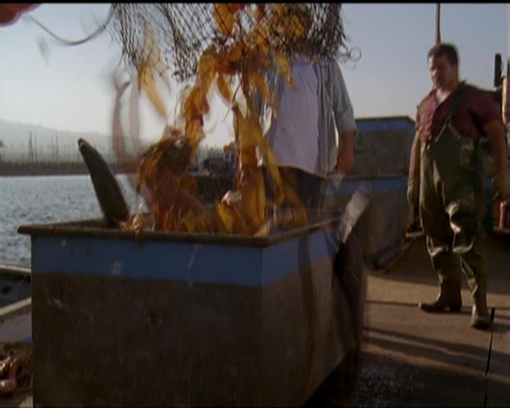 Charmed-Online_dot_net-5x02AWitchsTailPart2-0669.jpg
