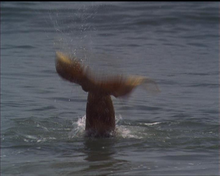Charmed-Online_dot_net-5x02AWitchsTailPart2-1794.jpg