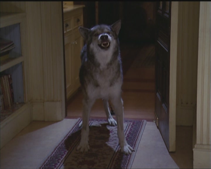 Charmed-Online_dot_net-5x03HappelyEverAfter1551.jpg