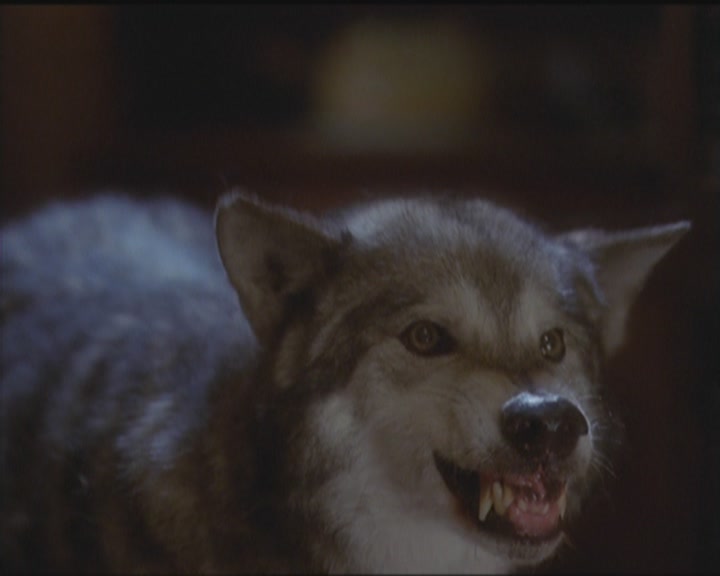 Charmed-Online_dot_net-5x03HappelyEverAfter1554.jpg