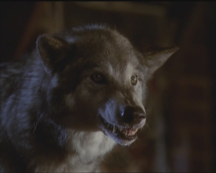 Charmed-Online_dot_net-5x03HappelyEverAfter2042.jpg