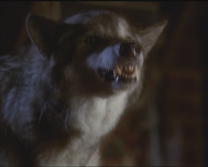 Charmed-Online_dot_net-5x03HappelyEverAfter2043.jpg