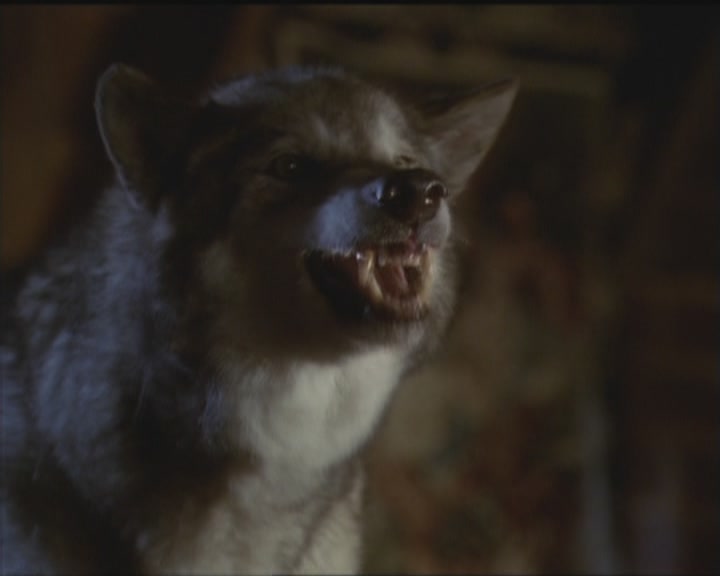 Charmed-Online_dot_net-5x03HappelyEverAfter2047.jpg