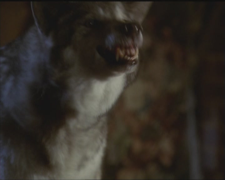 Charmed-Online_dot_net-5x03HappelyEverAfter2050.jpg