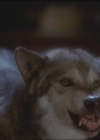Charmed-Online_dot_net-5x03HappelyEverAfter1554.jpg
