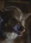 Charmed-Online_dot_net-5x03HappelyEverAfter2042.jpg
