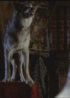 Bestandsnaam=Charmed-Online_dot_net-5x03HappelyEverAfter2045.jpg
Bestandsgrootte=29KiB
Afmetingen = 720x576
Datum toegevoegd = mei 06, 2014 Charmed-Online_dot_net-5x03HappelyEverAfter2045.jpg