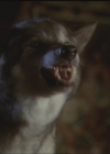 Bestandsnaam=Charmed-Online_dot_net-5x03HappelyEverAfter2047.jpg
Bestandsgrootte=22KiB
Afmetingen = 720x576
Datum toegevoegd = mei 06, 2014 Charmed-Online_dot_net-5x03HappelyEverAfter2047.jpg