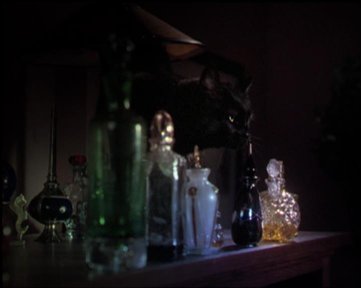 Charmed-Online_dot_net-5x03SirensSong0221.jpg