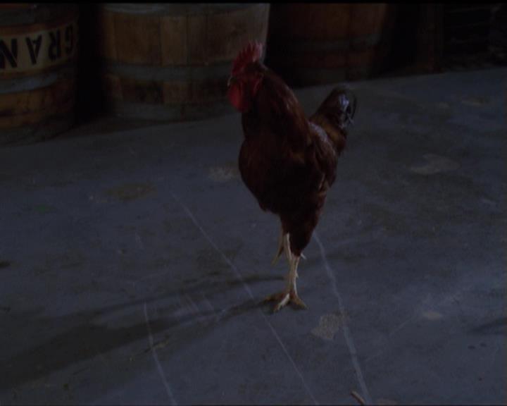 Charmed-Online_dot_net-5x03SirensSong1560.jpg
