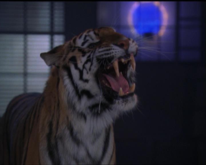 Charmed-Online-dot-net_5x05WitchesInTights0237.jpg
