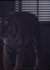 Charmed-Online-dot-net_5x05WitchesInTights0227.jpg
